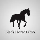 https://www.facebook.com/pages/Blackhorse-Limousine/253477636947?fref=ts
