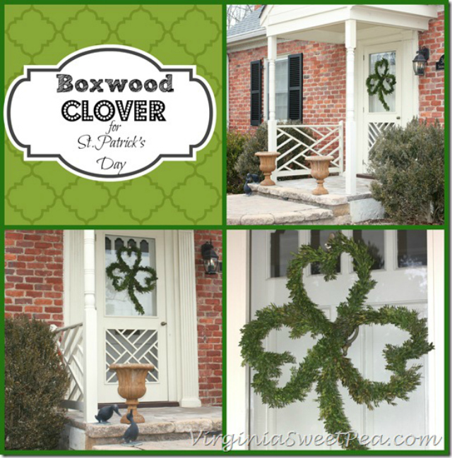 Boxwood-Clover-for-St.-Patricks-Day-by-virginiasweetpea.com_thumb