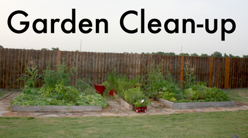 Garden Clean-up